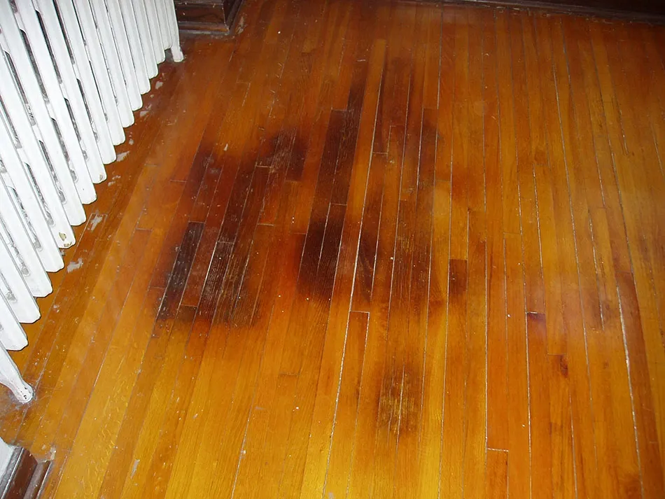Pet damage on hardwood floors left behind in a rental home